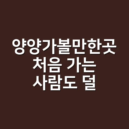 양양가볼만한곳 처음 가는 사람도 덜 헤매는 코스 짜는 방법 - 요약