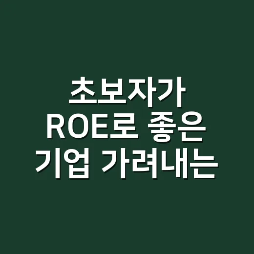 초보자가 ROE로 좋은 기업 가려내는 방법 - 요약