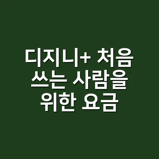 디지니+ 처음 쓰는 사람을 위한 요금제 고르는 방법 - 요약