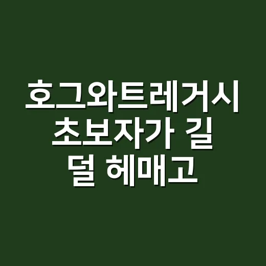호그와트레거시 초보자가 길 덜 헤매고 즐기는 방법 - 요약
