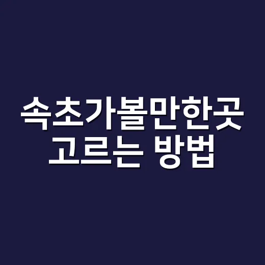 속초가볼만한곳 고르는 방법, 처음 가도 동선 편하게 잡는 코스 - 요약