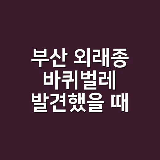 부산 외래종 바퀴벌레 발견했을 때 대처하는 방법 - 요약