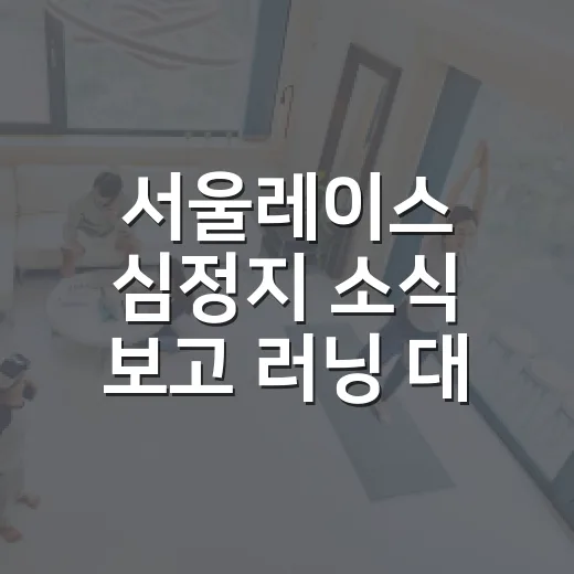 서울레이스 심정지 소식 보고 러닝 대회 안전 챙기는 방법 - 요약