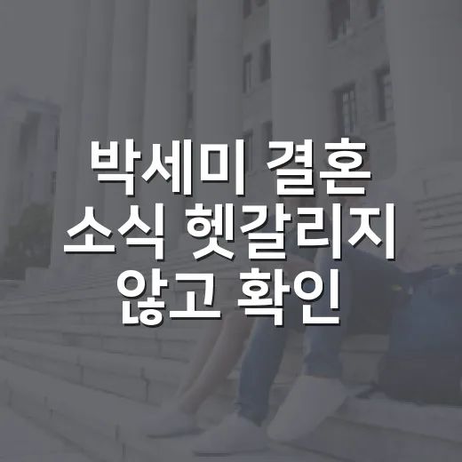 박세미 결혼 소식 헷갈리지 않고 확인하는 방법 - 요약