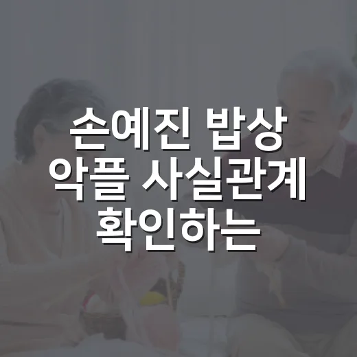 손예진 밥상 악플 사실관계 확인하는 방법 - 요약