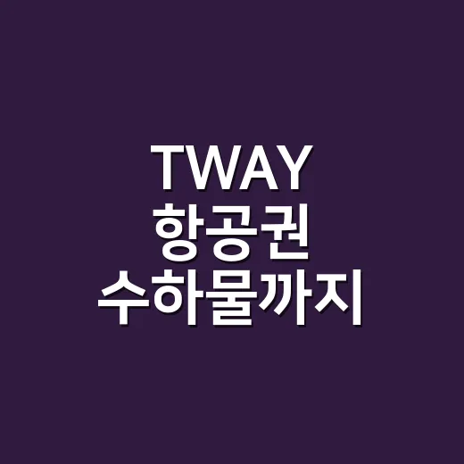TWAY 항공권 수하물까지 계산해 예매하는 방법 - 요약