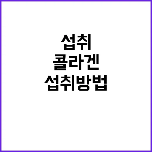 콜라겐 고르려면 이렇게, 초보자도 덜 헷갈리는 섭취 방법 - 요약