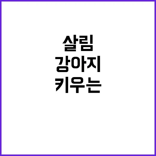 강아지 처음 키우는 방법, 살림하는 집에서 준비하면 좋은 것들 - 요약