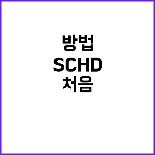 SCHD 처음 사려면 이렇게 확인하는 방법 - 요약