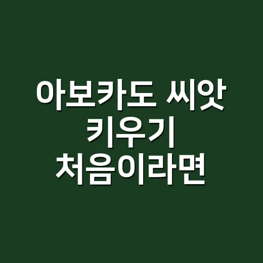 아보카도 씨앗 키우기 처음이라면 이렇게 시작하는 방법 - 요약