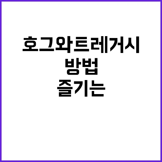 호그와트레거시 초보가 돈 아끼고 오래 즐기는 방법 - 요약