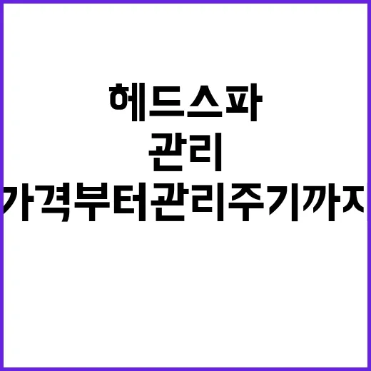헤드스파 처음 받으려면 이렇게 고르세요, 가격부터 관리 주기까지 - 요약