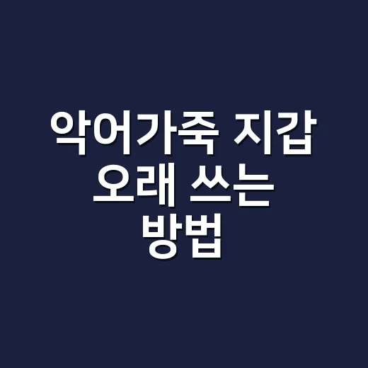 악어가죽 지갑 오래 쓰는 방법, 초보자도 망치지 않는 관리법 - 요약