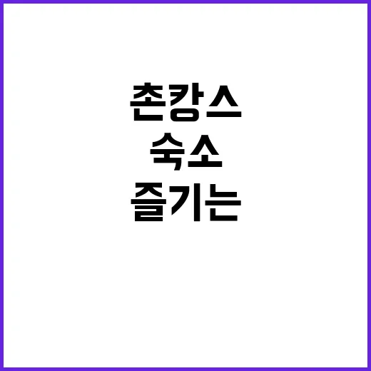 촌캉스 제대로 즐기는 방법, 숙소 고르기부터 준비물까지 - 요약