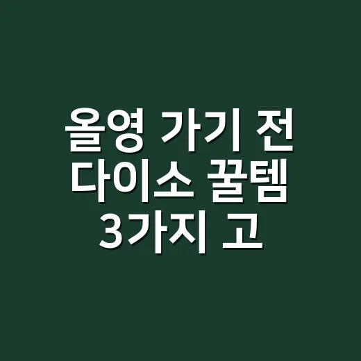 올영 가기 전 다이소 꿀템 3가지 고르는 방법 - 요약