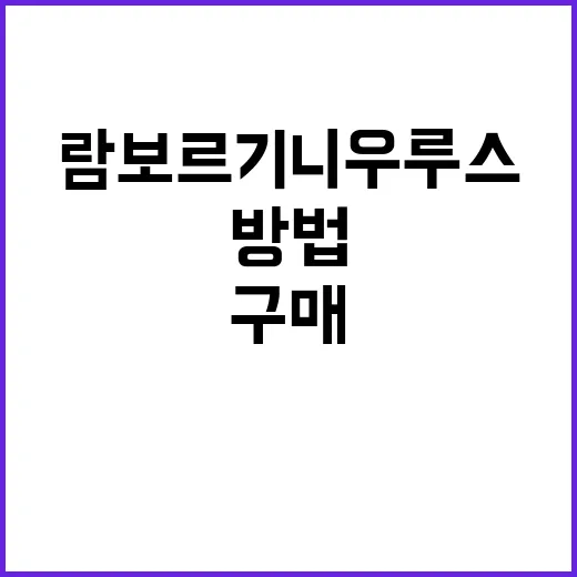 람보르기니우루스 구매 전에 생활비까지 계산하는 방법 - 요약