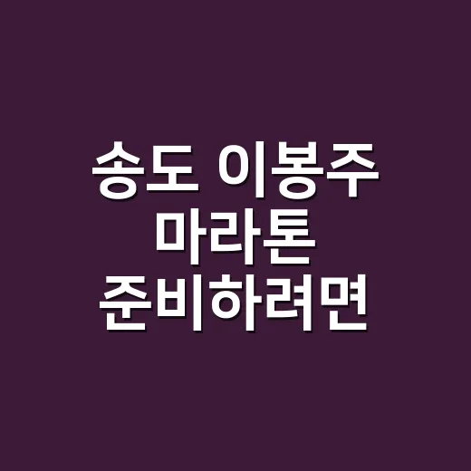 송도 이봉주 마라톤 준비하려면 이렇게 챙기세요 - 요약