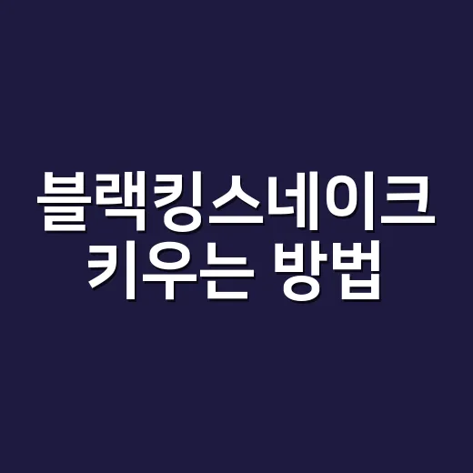 블랙킹스네이크 키우는 방법, 초보가 놓치기 쉬운 사육 포인트 - 요약