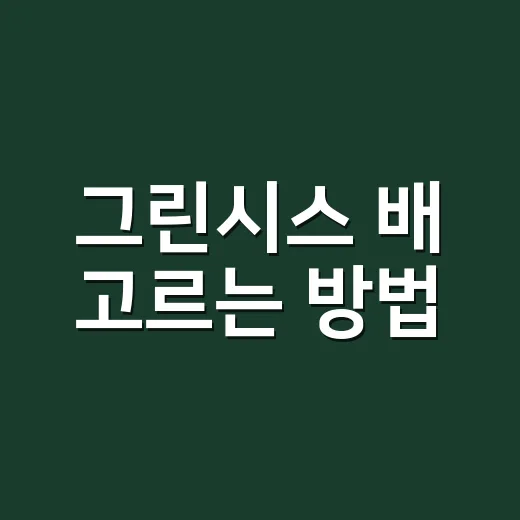 그린시스 배 고르는 방법, 초록빛 배 처음 살 때 확인할 것 - 요약