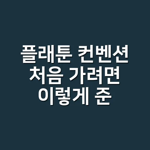 플래툰 컨벤션 처음 가려면 이렇게 준비하면 편해요 - 요약