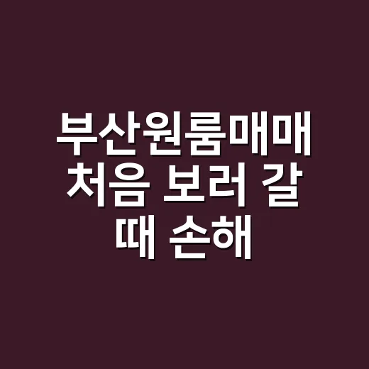 부산원룸매매 처음 보러 갈 때 손해 줄이는 방법 - 요약
