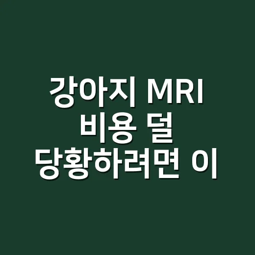 강아지 MRI 비용 덜 당황하려면 이렇게 확인하세요 - 요약
