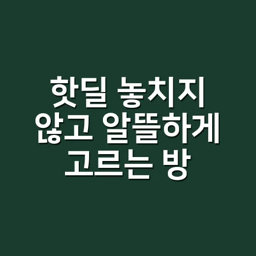 핫딜 놓치지 않고 알뜰하게 고르는 방법 - 요약