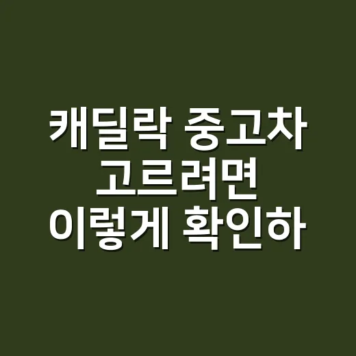 캐딜락 중고차 고르려면 이렇게 확인하는 방법 - 요약