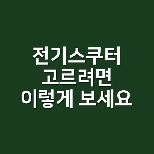 전기스쿠터 고르려면…