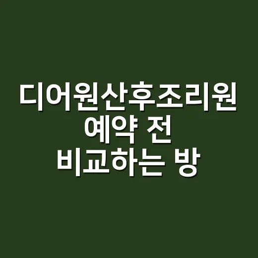 디어원산후조리원 예약 전 비교하는 방법, 위치부터 케어까지 체크하기 - 요약