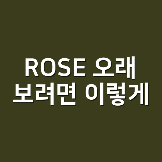 ROSE 오래 보려면 이렇게, 장미꽃 시들지 않게 관리하는 방법 - 요약