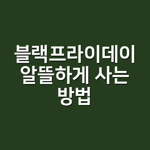 블랙프라이데이 알뜰하게 사는 방법, 장바구니부터 배송비까지 이렇게 챙기세요 - 요약