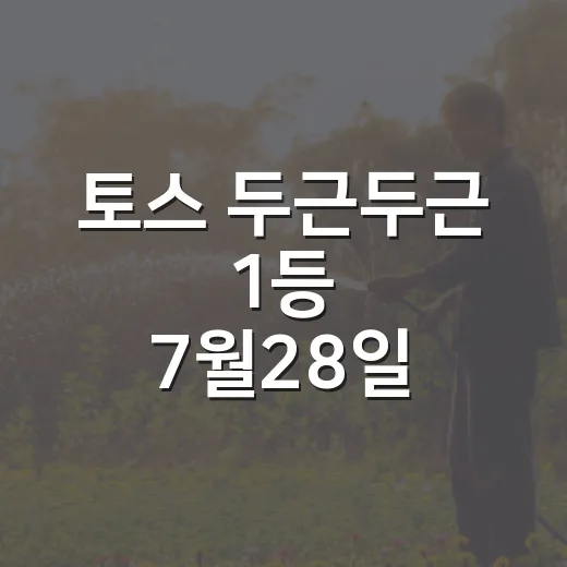 토스 두근두근 1등 7월28일 확인하는 방법, 놓치지 않으려면 이렇게 - 요약
