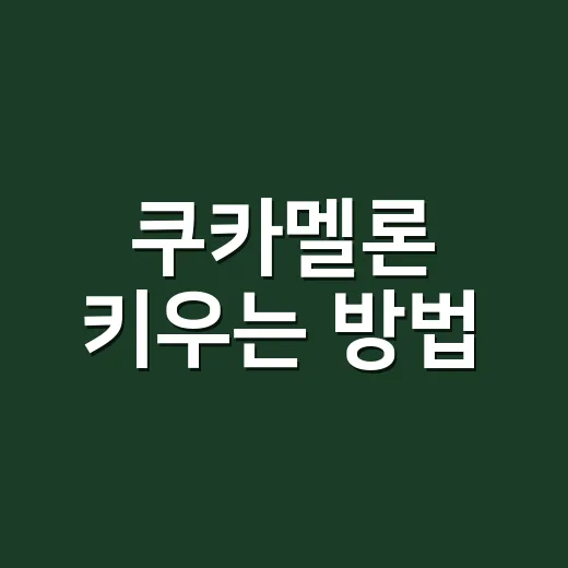 쿠카멜론 키우는 방법, 베란다에서도 실패 줄이려면 이렇게 - 요약