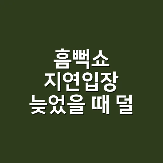 흠뻑쇼 지연입장 늦었을 때 덜 손해 보는 방법 - 요약