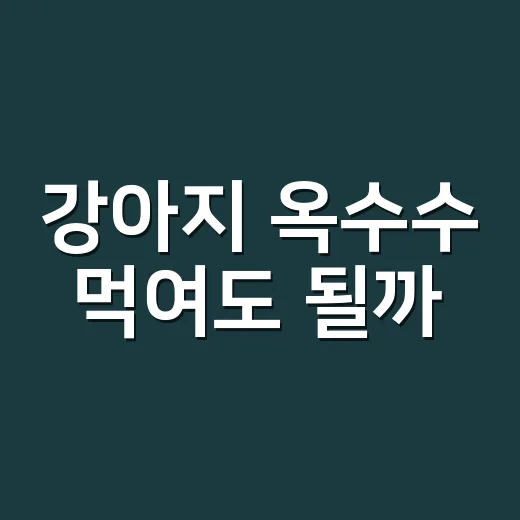 강아지 옥수수 먹여도 될까? 급여량부터 절대 피할 것까지 알려드리는 방법 - 요약