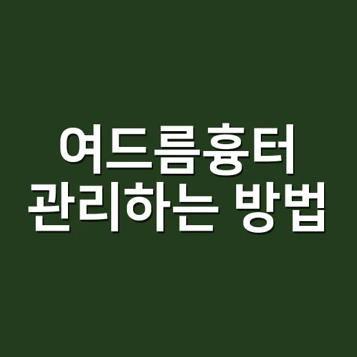 여드름흉터 관리하는 방법, 집에서 할 일과 병원 시술 고르는 기준 - 요약