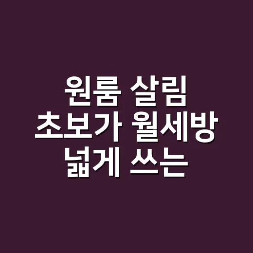 원룸 살림 초보가 월세방 넓게 쓰는 방법 - 요약