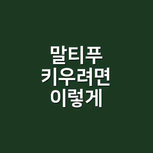 말티푸 키우려면 이렇게 준비하세요: 초보 보호자가 놓치기 쉬운 생활 관리법 - 요약