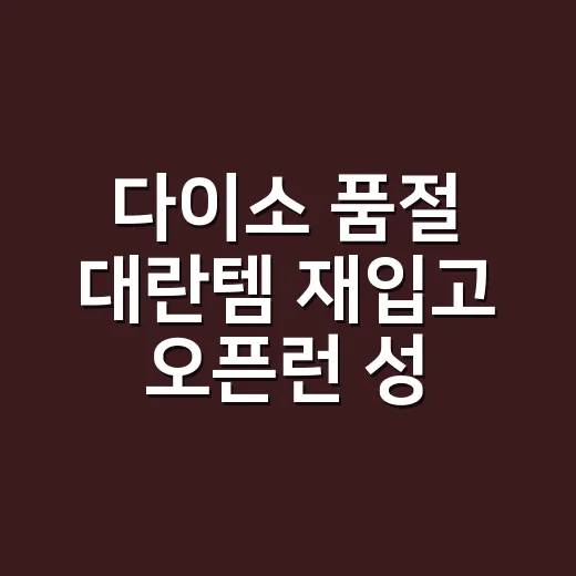 다이소 품절 대란템 재입고 오픈런 성공하려면 이렇게 움직이세요 - 요약