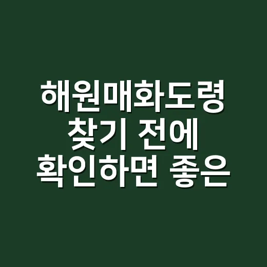 해원매화도령 찾기 전에 확인하면 좋은 상담 선택 방법 - 요약