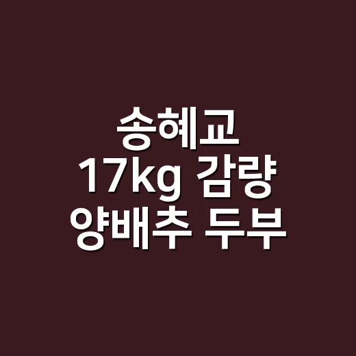 송혜교 17kg 감량 양배추 두부 샐러드 집에서 든든하게 만드는 방법 - 요약