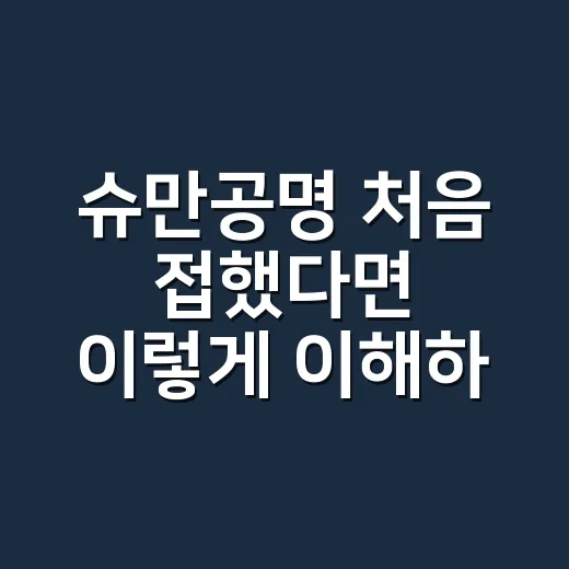슈만공명 처음 접했다면 이렇게 이해하는 방법 - 요약