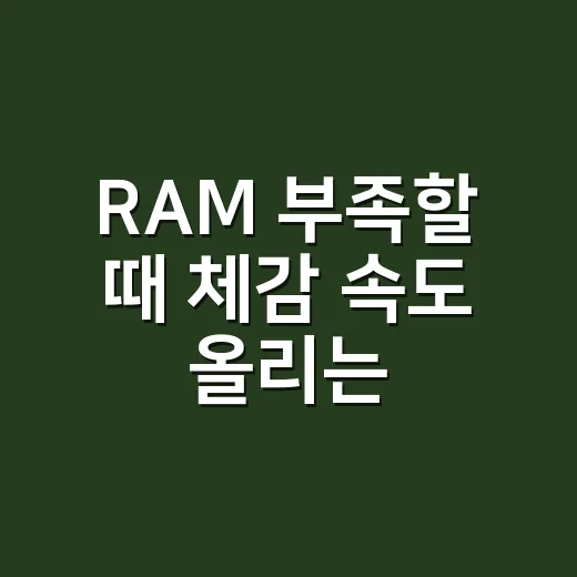 RAM 부족할 때 체감 속도 올리는 방법, 초보자도 헷갈리지 않게 고르는 기준 - 요약