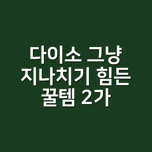 다이소 그냥 지나치기 힘든 꿀템 2가지 고르는 방법 - 요약