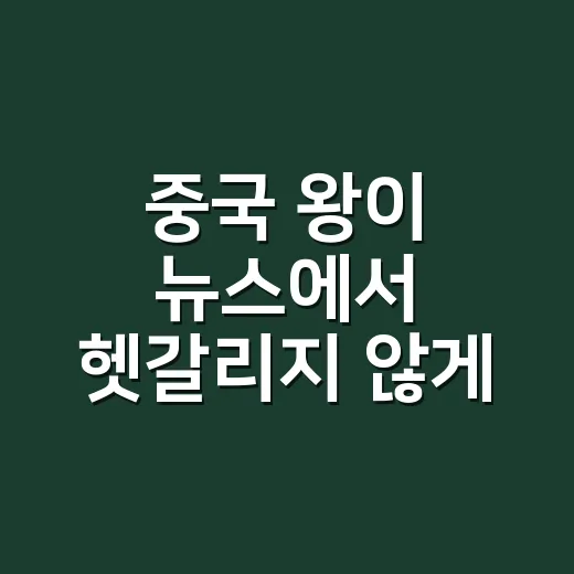 중국 왕이 뉴스에서 헷갈리지 않게 보는 방법 - 요약