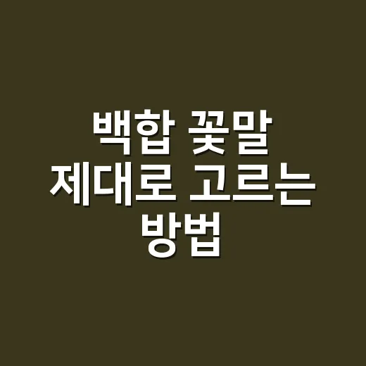 백합 꽃말 제대로 고르는 방법, 색깔별 의미와 선물할 때 조심할 점 - 요약