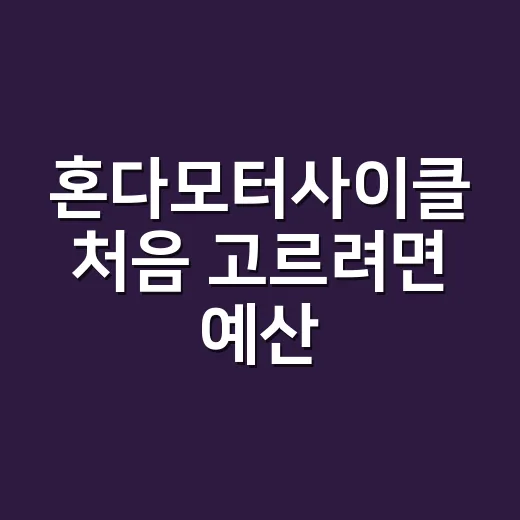 혼다모터사이클 처음 고르려면 예산·용도별로 이렇게 보세요 - 요약