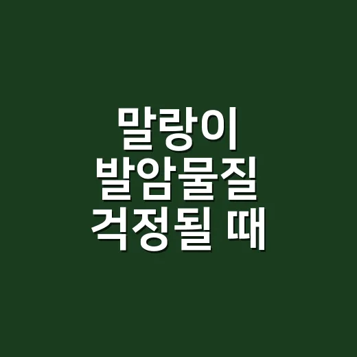 말랑이 발암물질 걱정될 때 안전하게 고르는 방법 - 요약