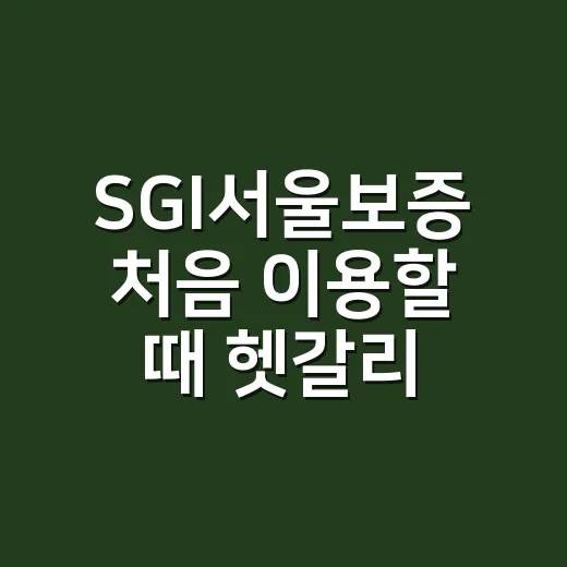 SGI서울보증 처음 이용할 때 헷갈리지 않는 방법 - 요약